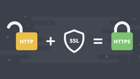 Webmaster Rehberleri Web Güvenliği: Dijital Varlıklarınızı Korumanın Anahtarı